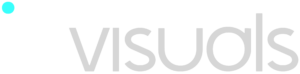 logo of Invisuals